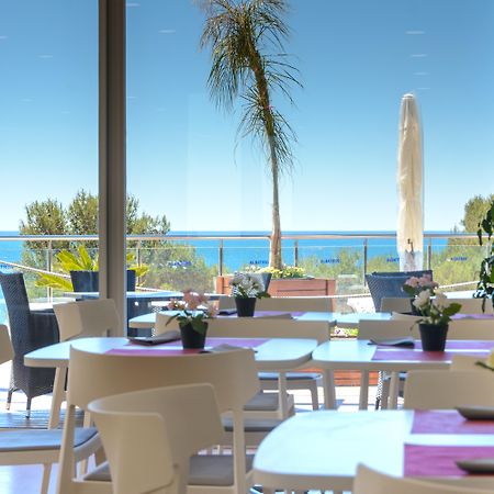 Apartaments Albatros Family サロウ エクステリア 写真