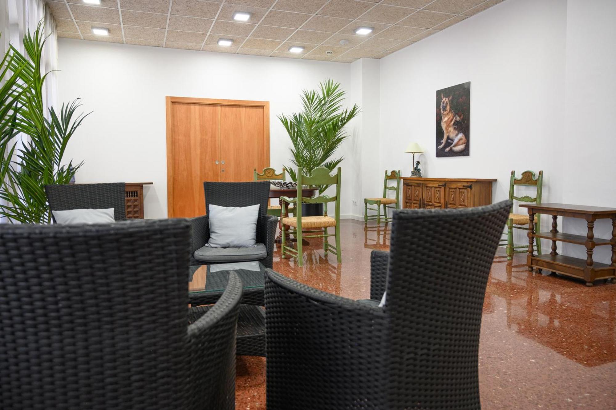 Apartaments Albatros Family サロウ エクステリア 写真